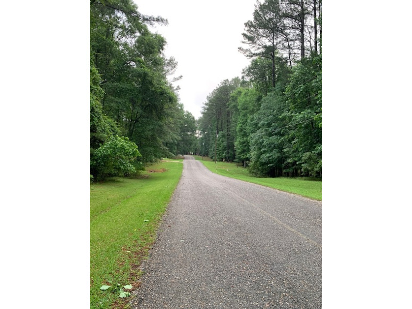 Right Road View.  Located On The Paved 1638 Road Section, West. - photo 4