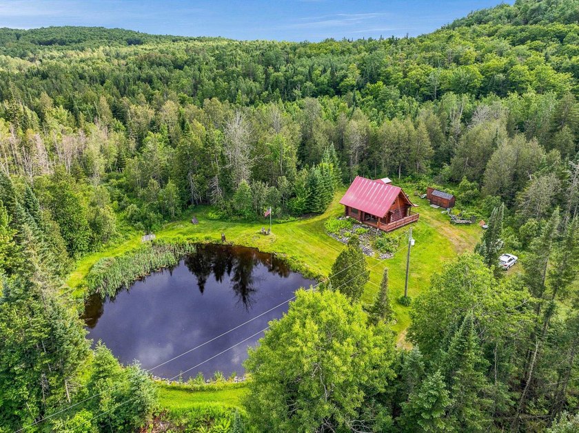 Unique in every way! This spectacular handcrafted full-log home - photo 3