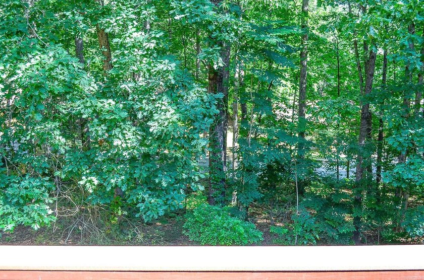 Opportunity is knocking.....Villa Alegre townhome already - photo 46