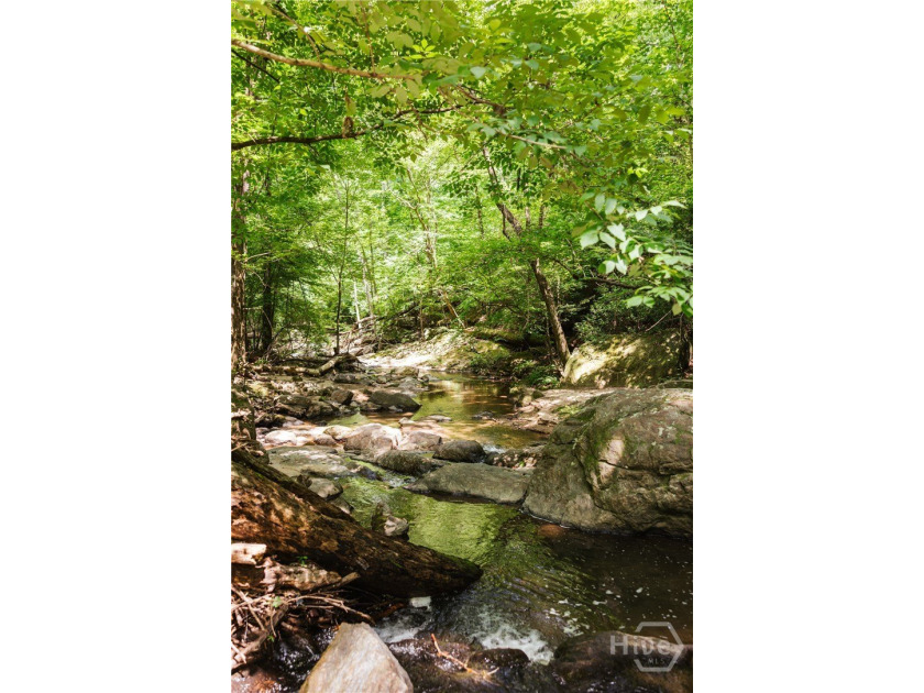 Rare historic property on Rose Creek in Oconee County, GA For - photo 44