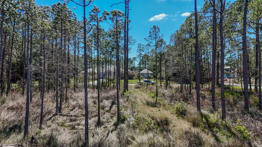 Shovel-Ready Waterfront Estate on Hogtown Bayou with Optional - photo 22