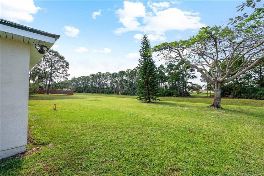 This is it ! Your WARM &amp; SUNNY Florida homes. Store your shovels - photo 33