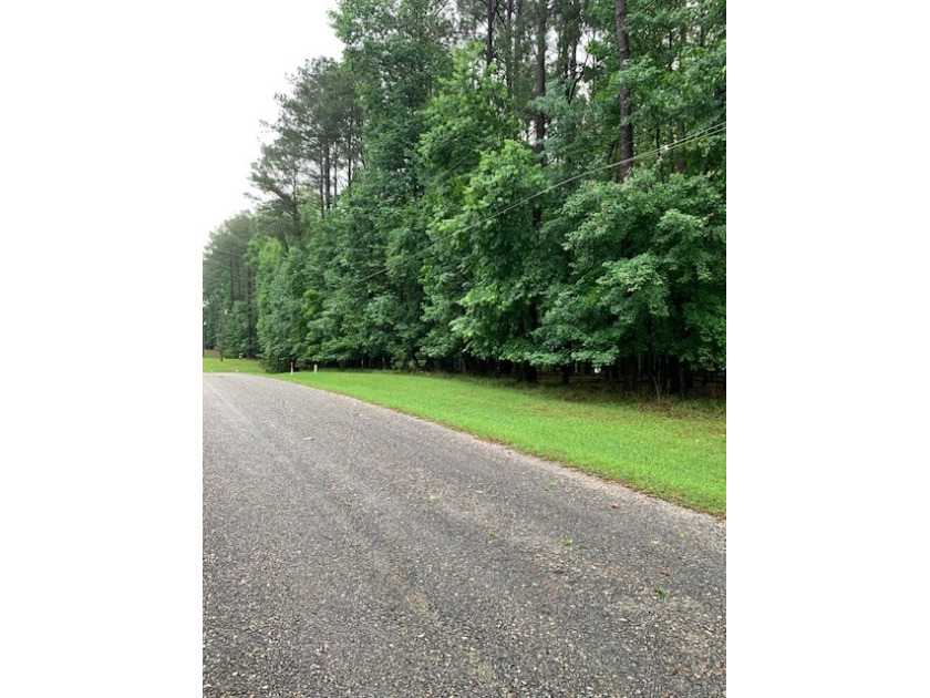 Building Lot On The Main Road SOLD - photo 3
