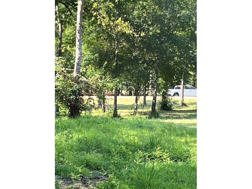 Discover your dream homesite at 665 Calmwater Ct, nestled just - photo 9