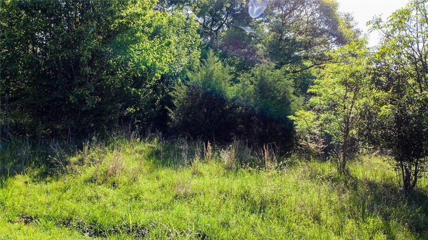 Mostly level with some gentle sloping wooded corner lot in the - photo 2