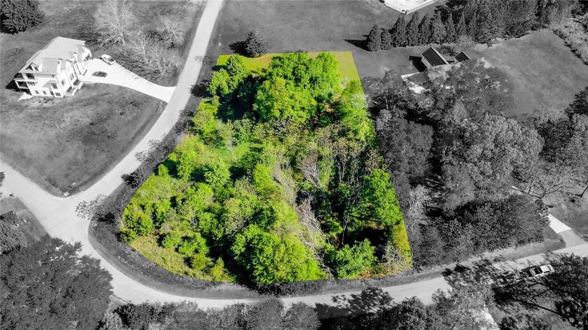 Mostly level with some gentle sloping wooded corner lot in the - photo 4