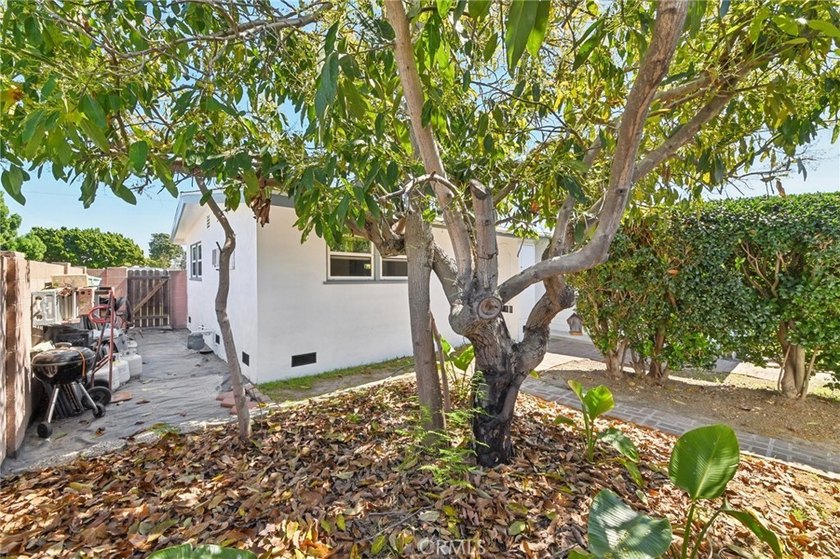 Beautifully maintained 3-bedroom/1.5-bathroom home offering a - photo 35