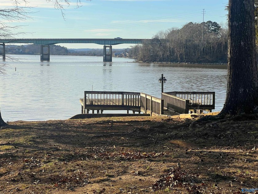 Enjoy lakeside living in this cozy yet upgraded 2nd-story log - photo 46