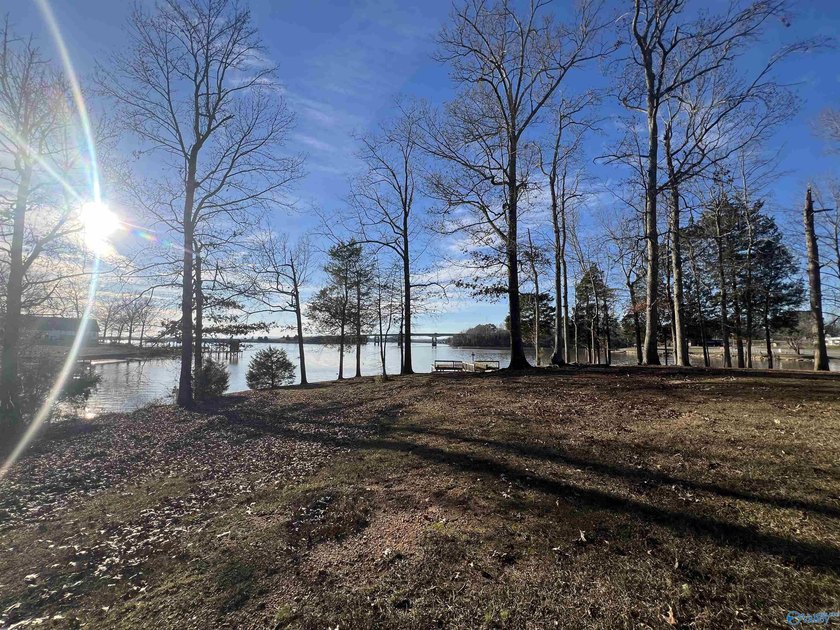Enjoy lakeside living in this cozy yet upgraded 2nd-story log - photo 49