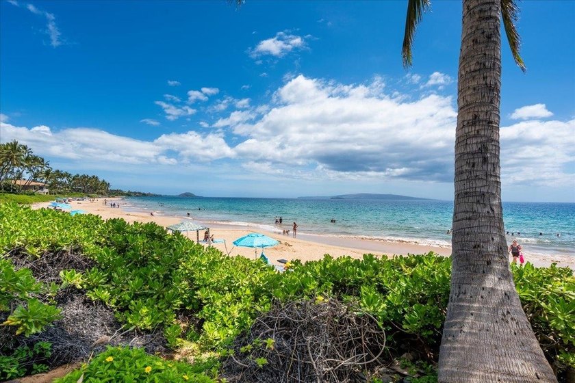 Hale Hui Kai is a true hidden gem on Keawakapu Beach - a - photo 42