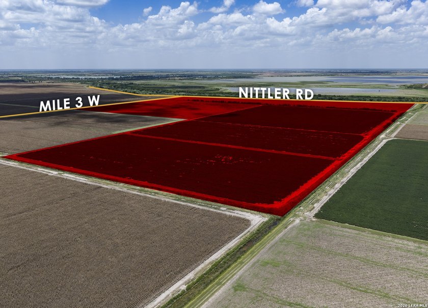 Easy Access from Nittler Rd and Mile 3 W in Hidalgo Co. close to - photo 2