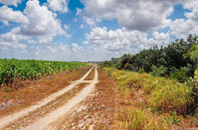 Easy Access from Nittler Rd and Mile 3 W in Hidalgo Co. close to - photo 10