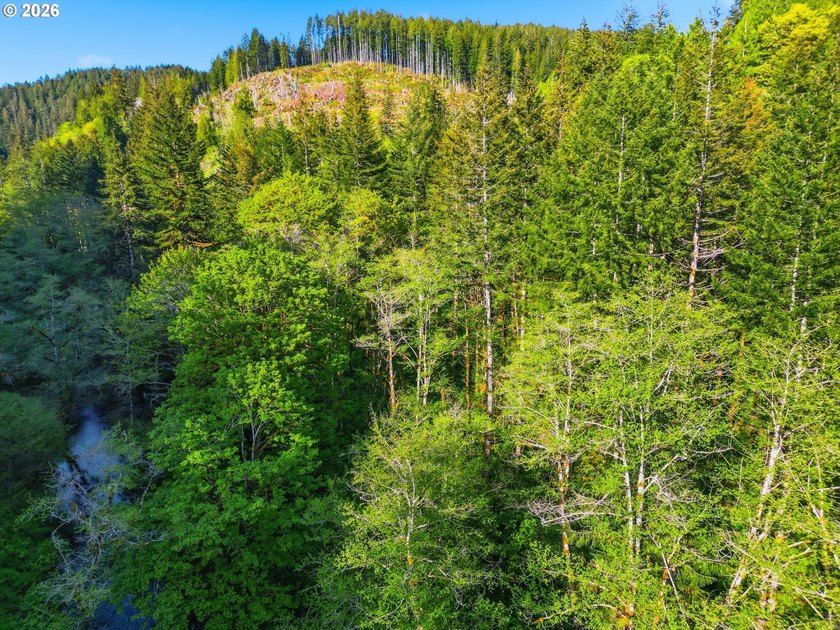 Own a piece of paradise on the upper North Fork River.Zoned F2 - photo 16
