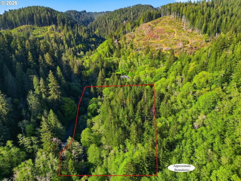 Own a piece of paradise on the upper North Fork River.Zoned F2 - photo 17