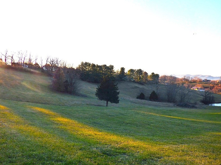 This beautiful 1.7-acre lot is located on a quiet cul-de-sac - photo 5