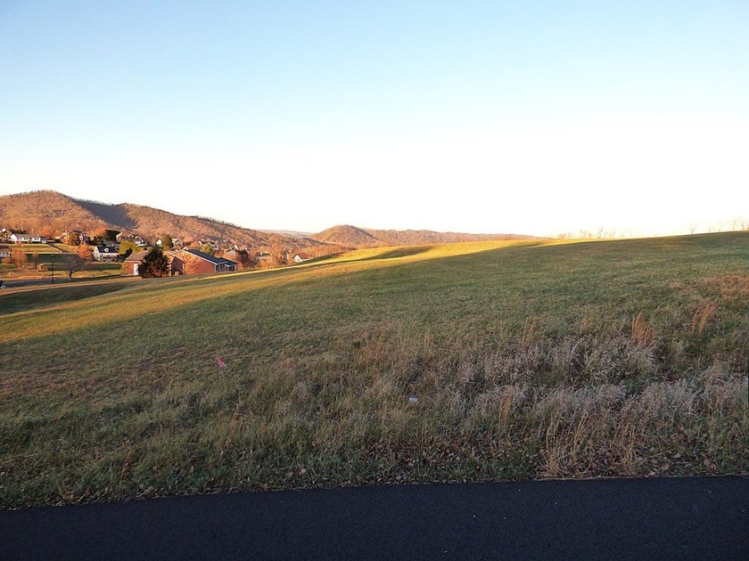 This beautiful 1.7-acre lot is located on a quiet cul-de-sac - photo 6