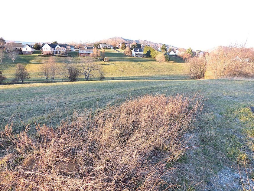 This beautiful 1.7-acre lot is located on a quiet cul-de-sac - photo 10