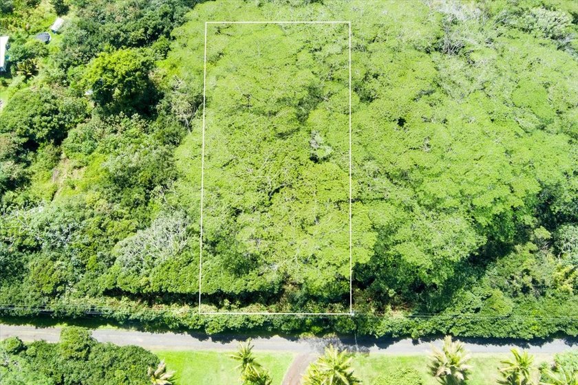$118,000 Secure your spot-half a mile from the ocean with this - photo 11