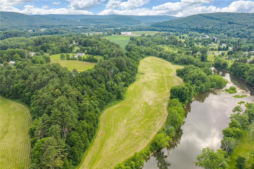 Forty-three acres on the Susquehanna River in Otego-Unadilla, NY - photo 4