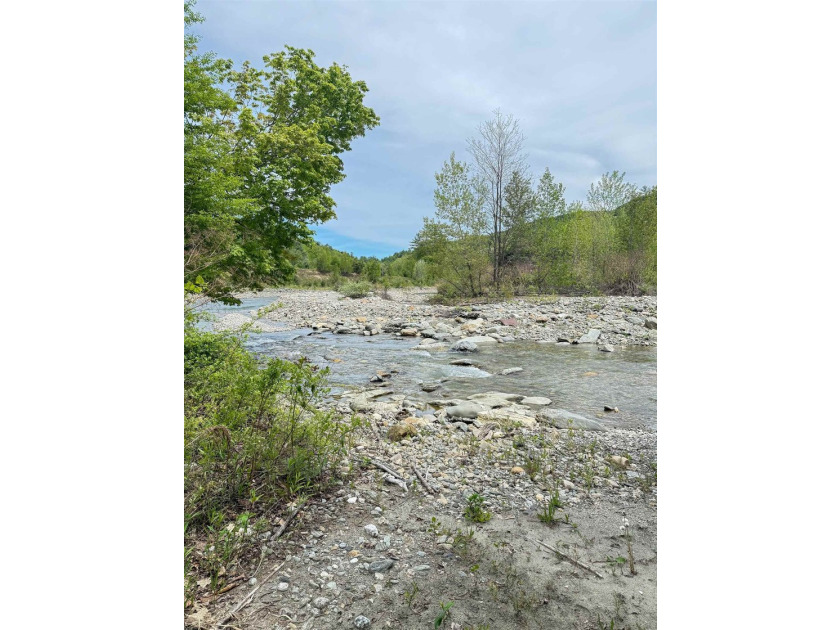 This former family farm is zoned as a commercial property in - photo 33