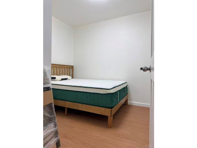 This beautifully renovated condo in the heart of Flushing offers - photo 6
