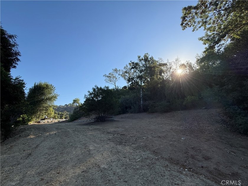 Create your custom dream estate on this premier parcel along - photo 5