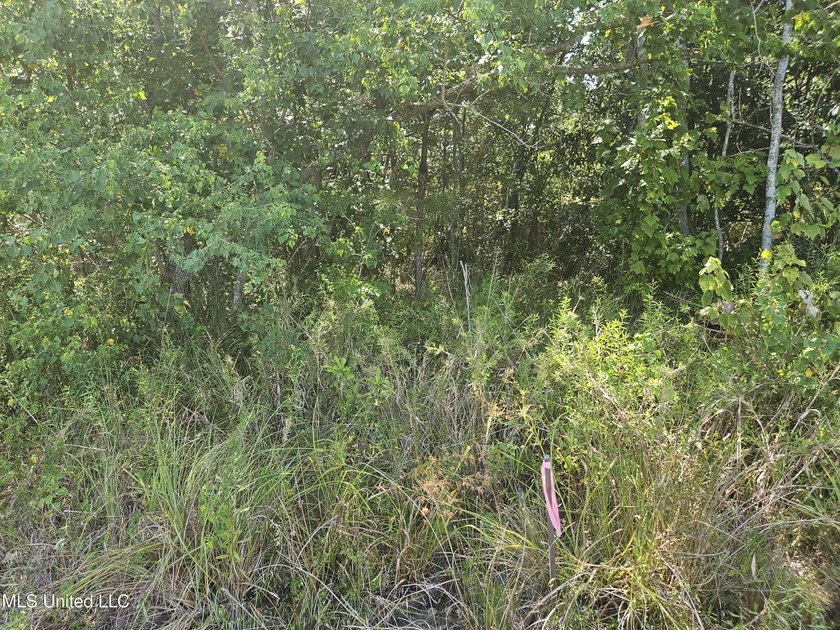 Highway 49 lots just north of Lowes, 84 Lumber and Hoods. Across - photo 5