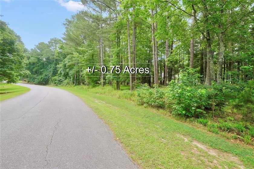 Your dream home begins here! Nestled among mature hardwoods in - photo 7