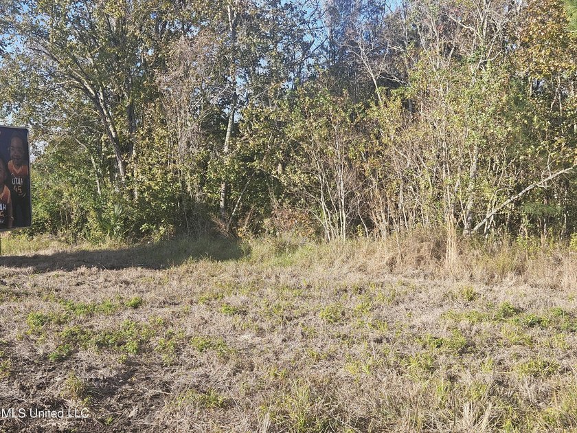 Highway 49 lots just north of Lowes, 84 Lumber and Hoods. Across - photo 8