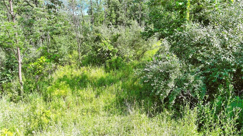 Here's your opportunity to build your dream home or vacation - photo 4
