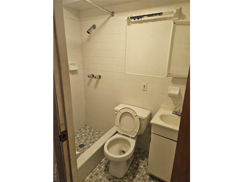 Nicely maintained 2 family home with wood floors. 1st floor has - photo 39