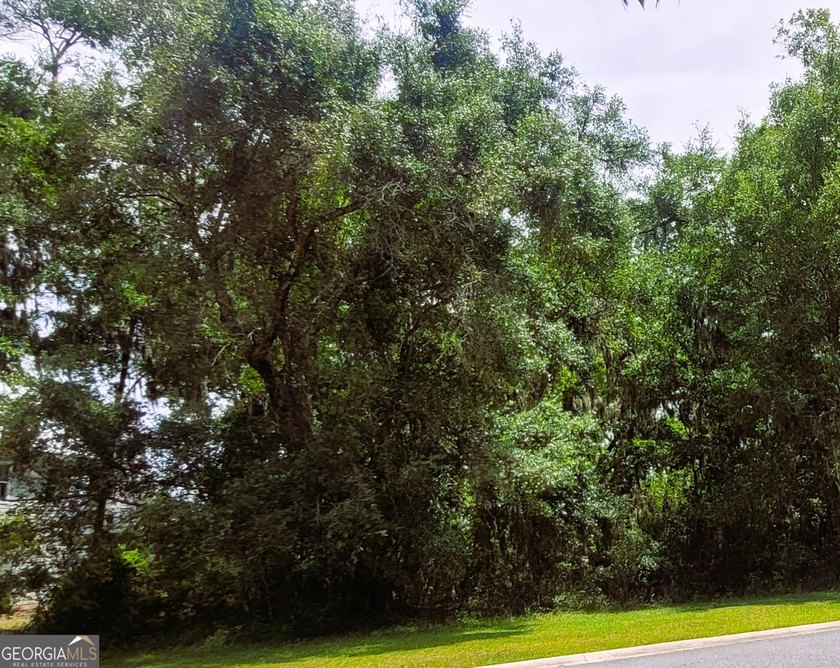 Begin your coastal lifestyle in the custom home community of - photo 4