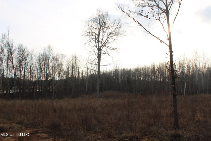 7.82 acres located south of Highway 78 between Red Banks and - photo 11