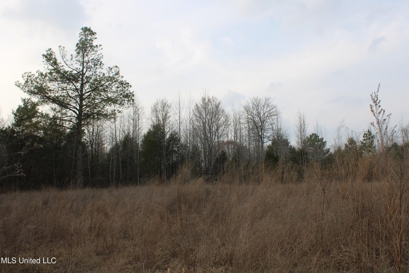 7.82 acres located south of Highway 78 between Red Banks and - photo 12