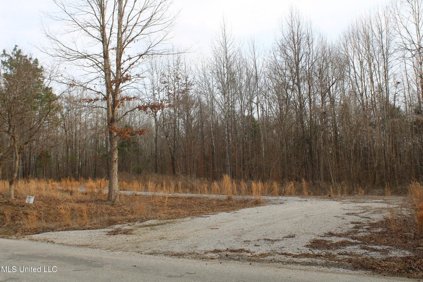 7.82 acres located south of Highway 78 between Red Banks and - photo 15