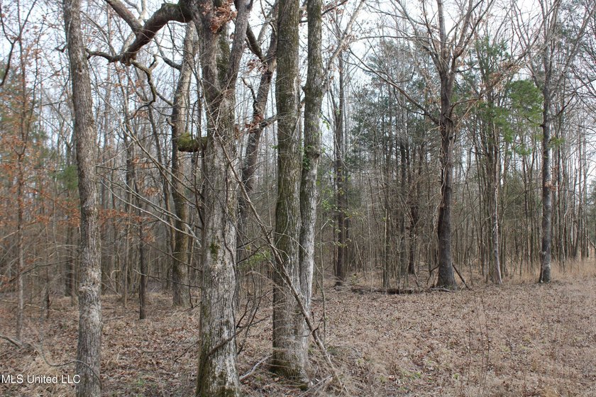 7.82 acres located south of Highway 78 between Red Banks and - photo 17