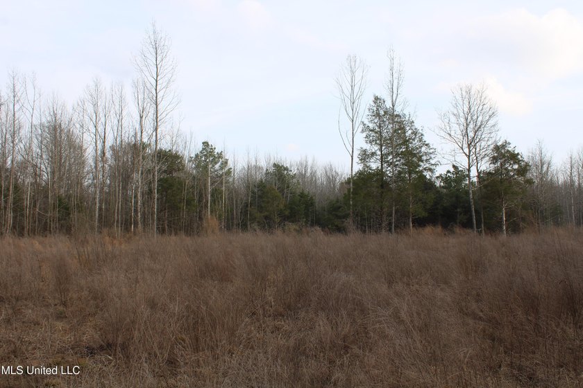 7.82 acres located south of Highway 78 between Red Banks and - photo 20