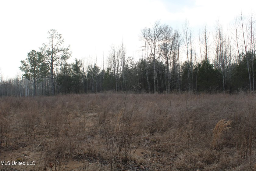 7.82 acres located south of Highway 78 between Red Banks and - photo 21