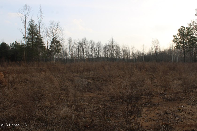 7.82 acres located south of Highway 78 between Red Banks and - photo 22