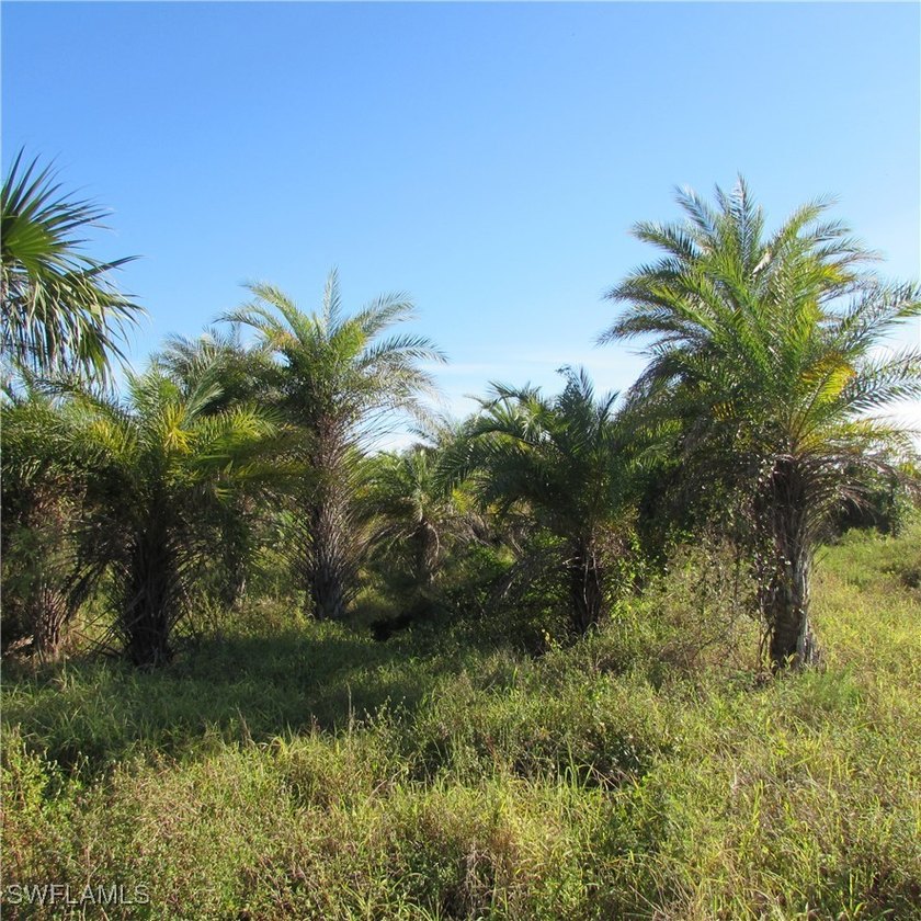 38 acres Total.. 2 parcels, 1 acre lot on stringfellow, 37 acre - photo 3