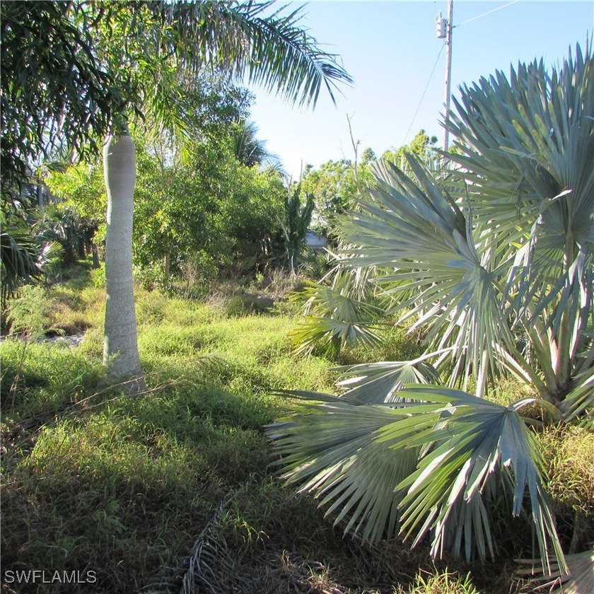 38 acres Total.. 2 parcels, 1 acre lot on stringfellow, 37 acre - photo 4