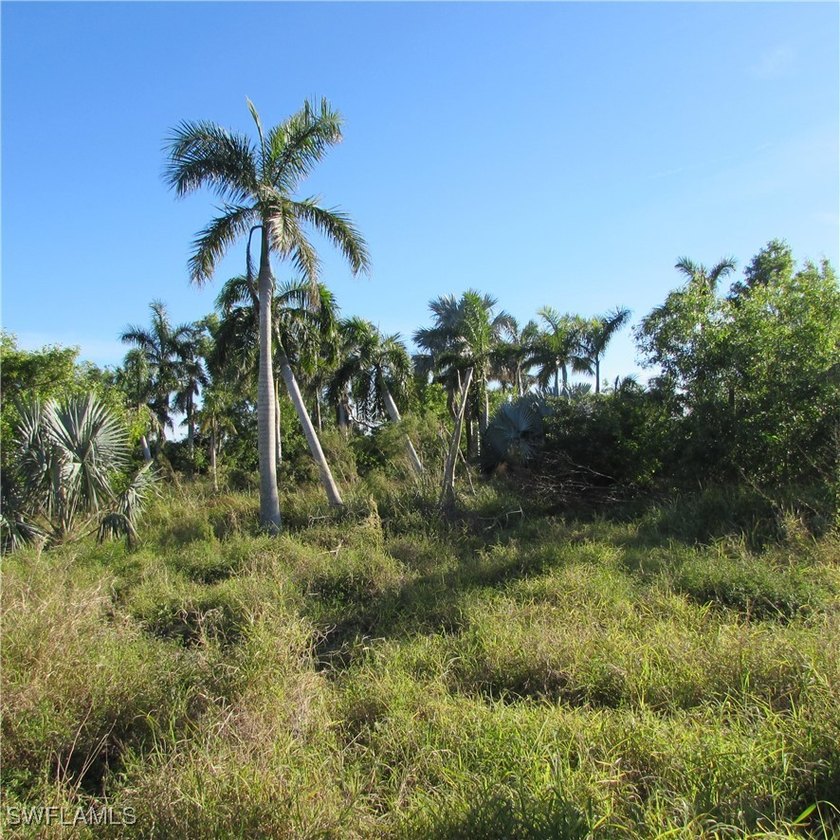 38 acres Total.. 2 parcels, 1 acre lot on stringfellow, 37 acre - photo 5