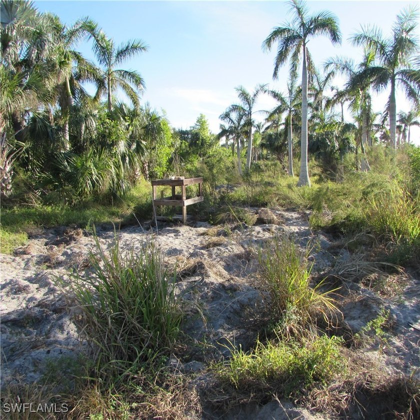 38 acres Total.. 2 parcels, 1 acre lot on stringfellow, 37 acre - photo 8