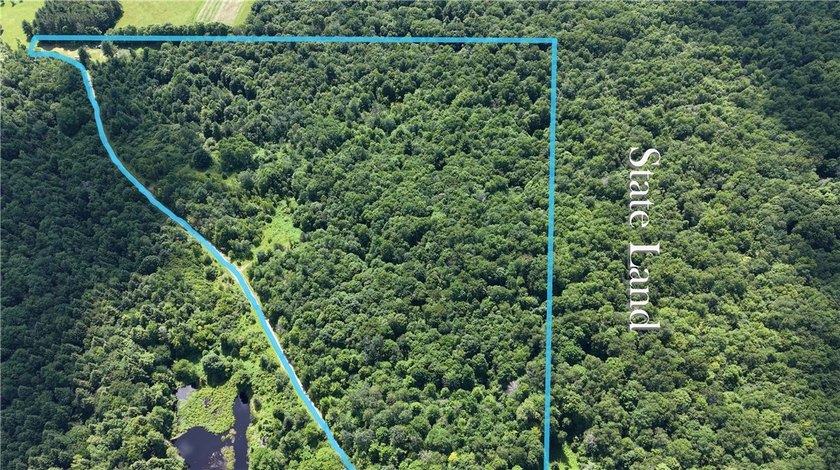 Welcome to Rabbit Path Hideaway --- Gorgeous wooded 26 +/- acres - photo 2