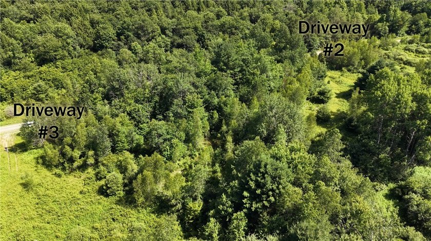 Welcome to Rabbit Path Hideaway --- Gorgeous wooded 26 +/- acres - photo 5