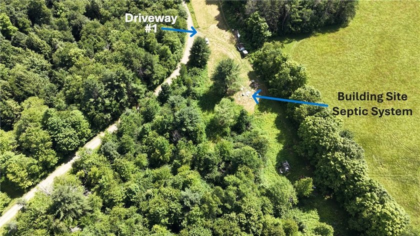 Welcome to Rabbit Path Hideaway --- Gorgeous wooded 26 +/- acres - photo 6