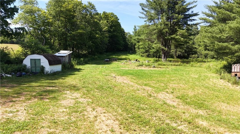 Welcome to Rabbit Path Hideaway --- Gorgeous wooded 26 +/- acres - photo 9