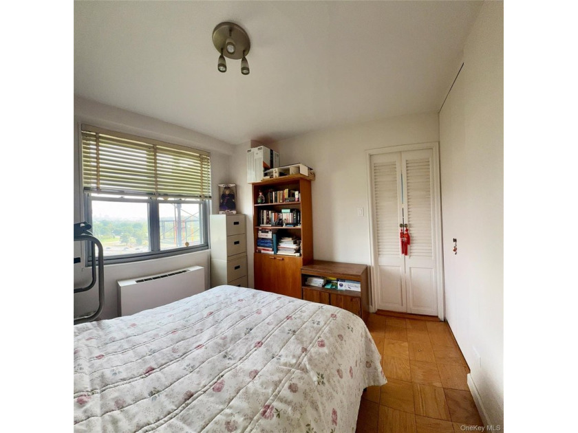 Stunning Renovated 2 Bedroom / Junior 4 Co-op with Lake Views - photo 9