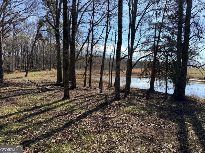This prime 6-acre, level lot offers a picturesque setting - photo 8