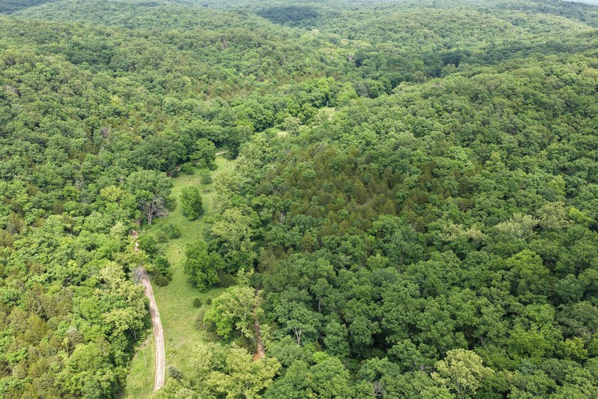 What a great piece of property here in Morgan county! This is 45 - photo 4